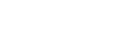 ハネトビ数字