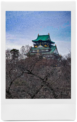 秘蔵写真