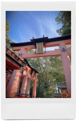 秘蔵写真
