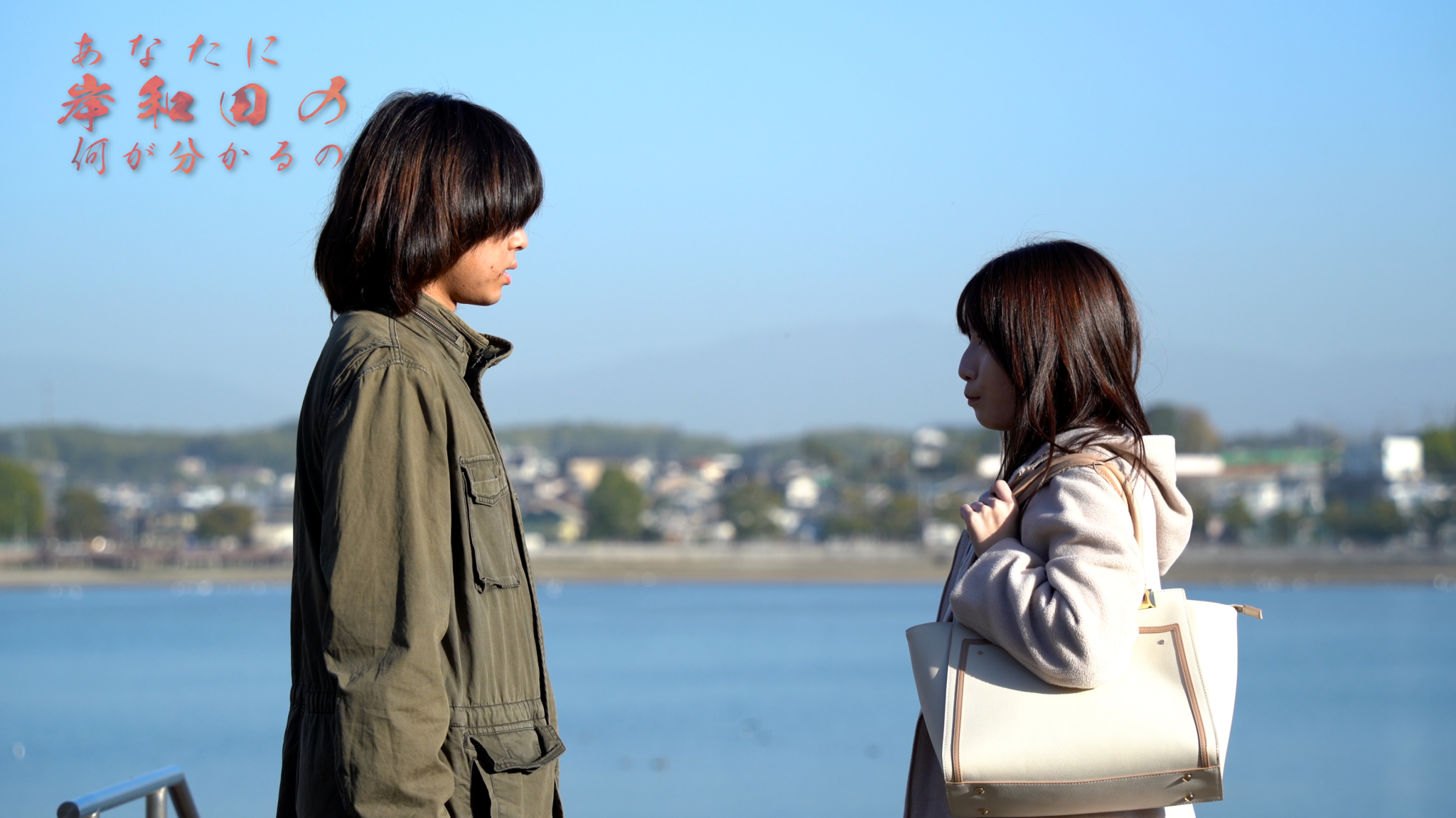 ドキュメンタリー研究